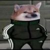 dre_doge